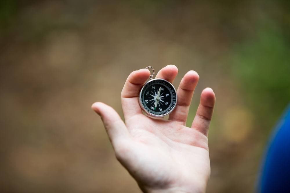 Close-up of hand holding compass in forest-1