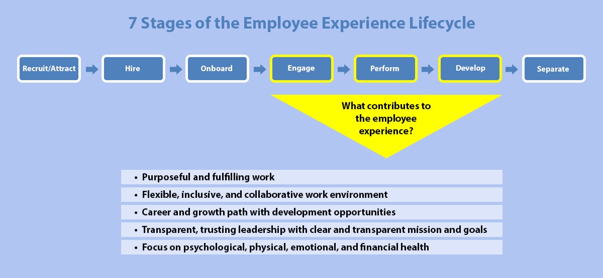 7 Stages of the Employee Experience Lifecycle