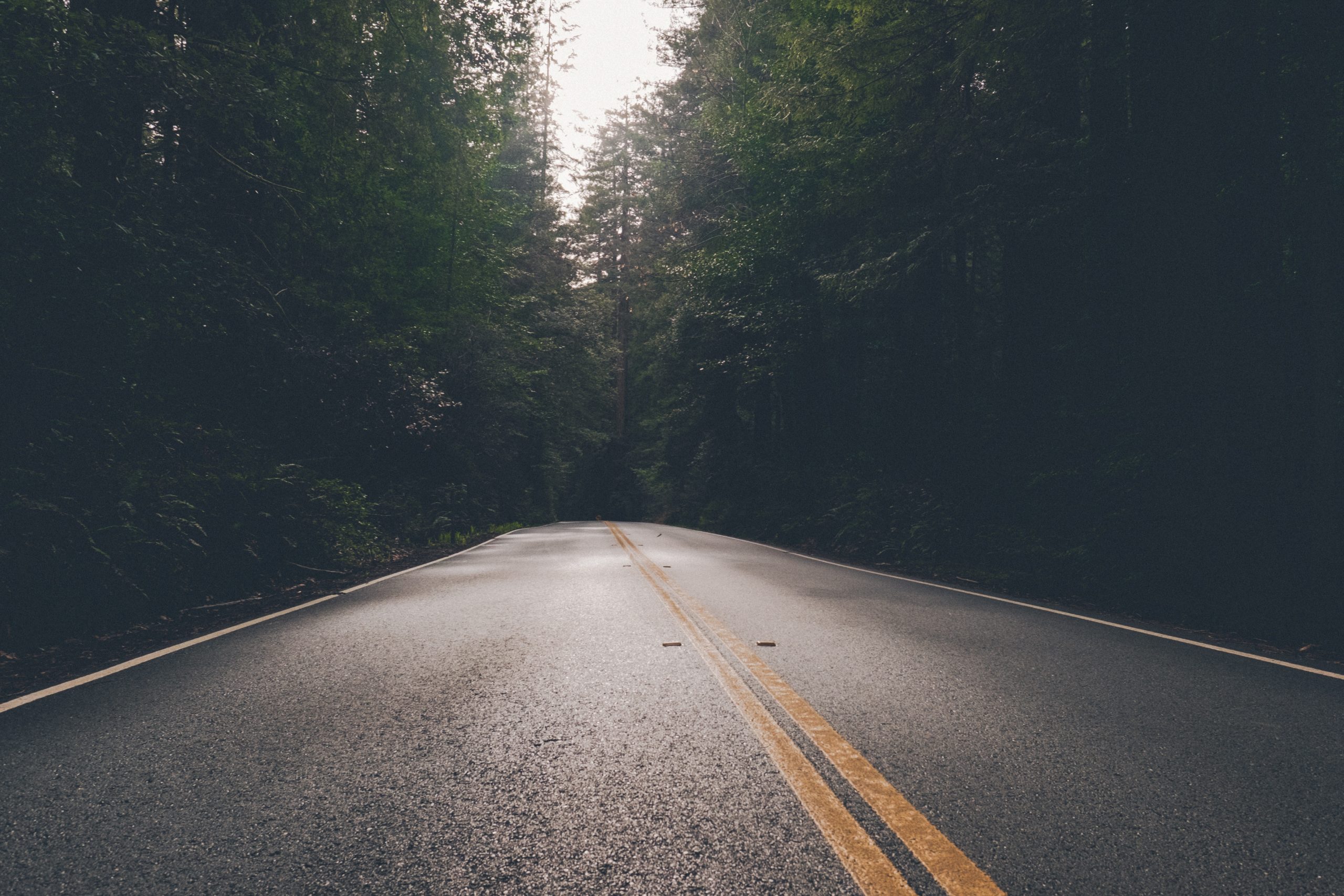 Creating An Excellent Company Culture