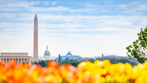 Fundamental changes to public sector recruitment